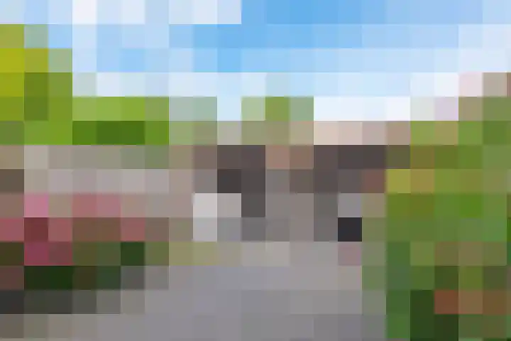 De Piek 3 Tuitjenhorn thumbnail 29
