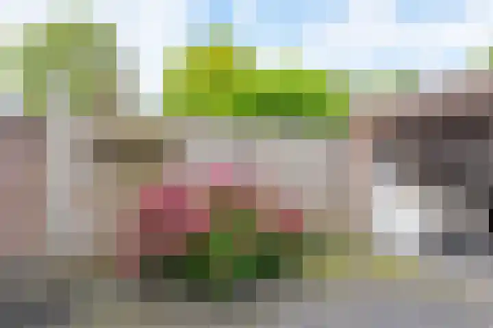De Piek 3 Tuitjenhorn thumbnail 30
