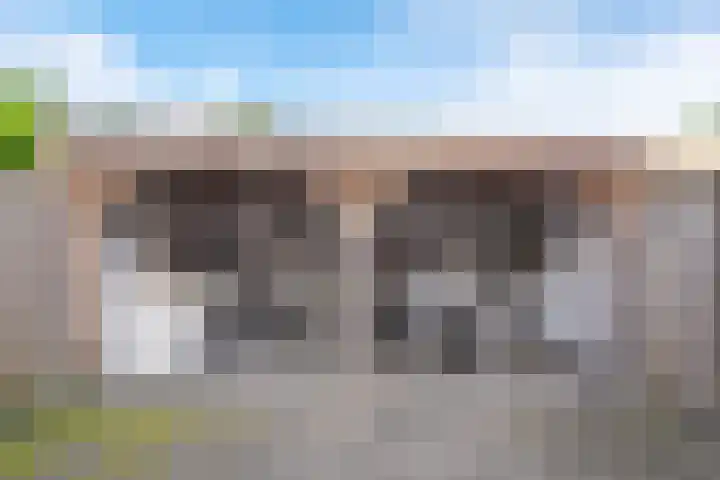 De Piek 3 Tuitjenhorn thumbnail 31