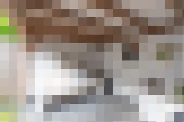 De Piek 3 Tuitjenhorn thumbnail 32