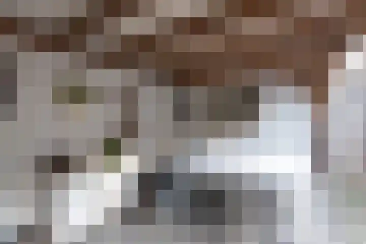De Piek 3 Tuitjenhorn thumbnail 33