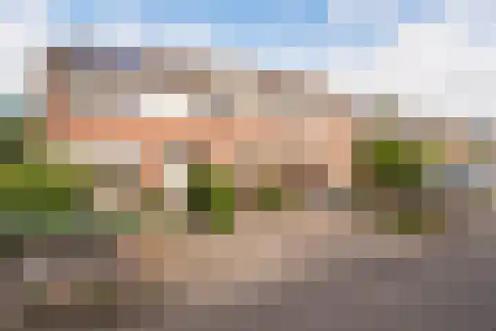 De Piek 3 Tuitjenhorn thumbnail 34