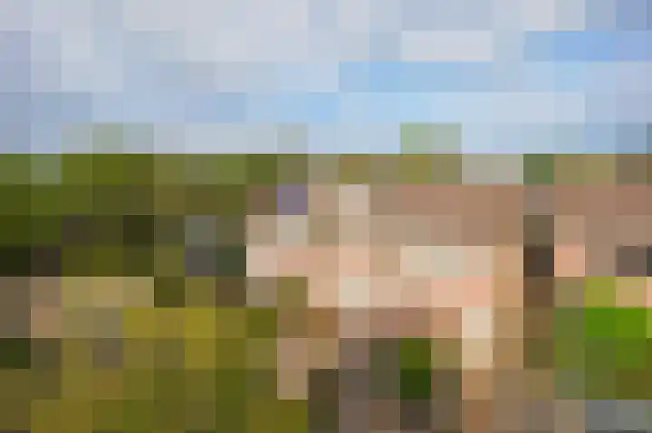 De Piek 3 Tuitjenhorn thumbnail 39