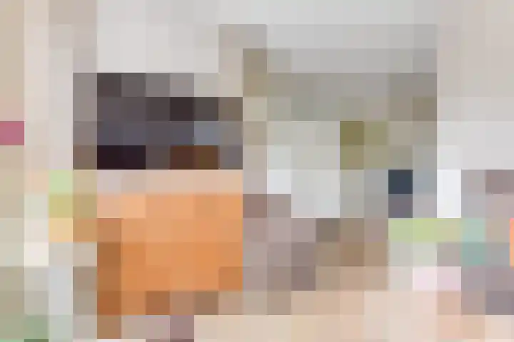 De Piek 3 Tuitjenhorn thumbnail 7