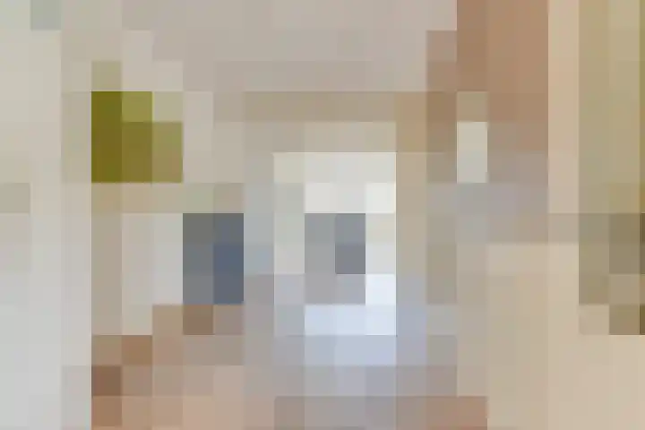 De Piek 3 Tuitjenhorn thumbnail 9