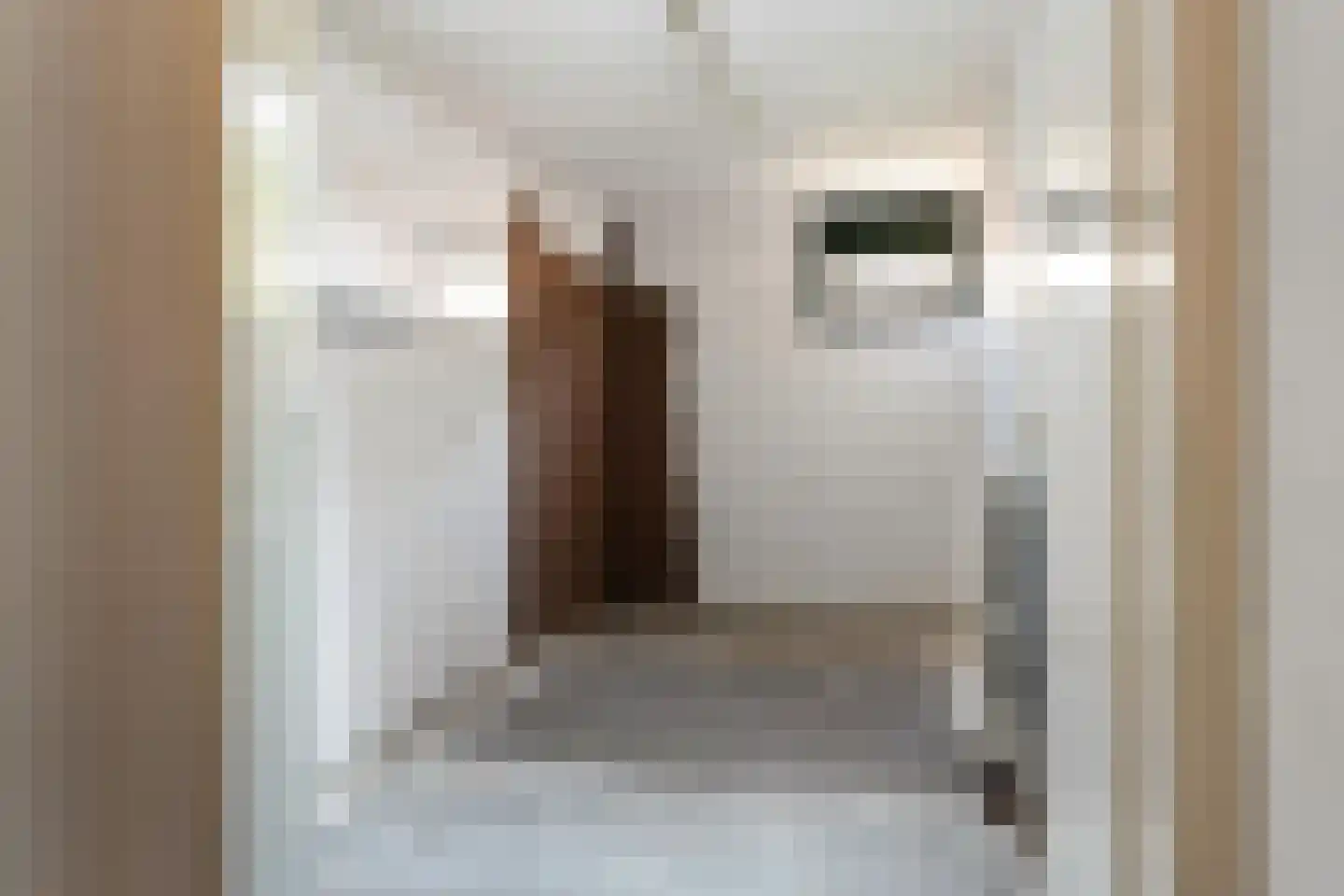 De Piepe 12 Klazienaveen thumbnail 15