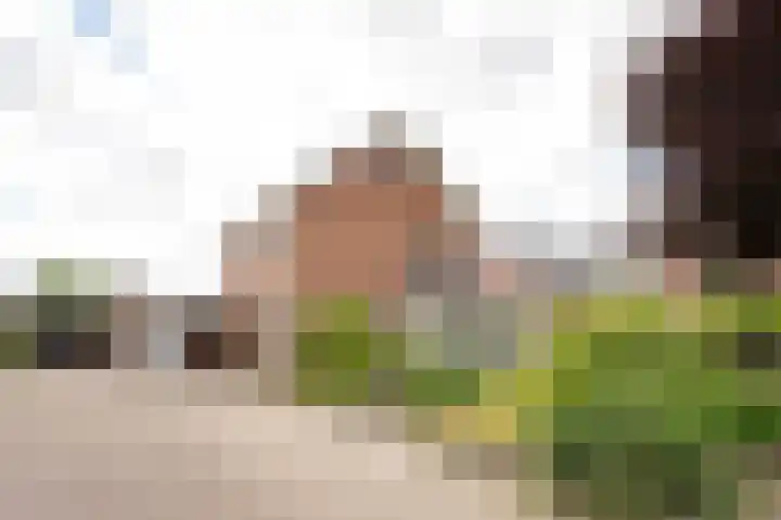 De Piepe 31 Klazienaveen
