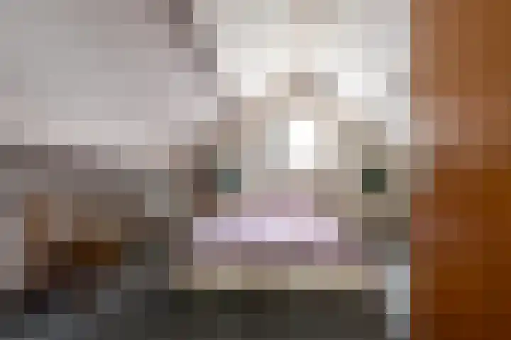 De Piepe 31 Klazienaveen thumbnail 24