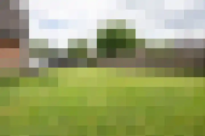 De Piepe 31 Klazienaveen thumbnail 26