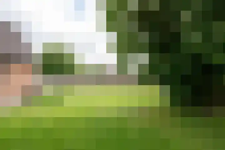 De Piepe 31 Klazienaveen thumbnail 27