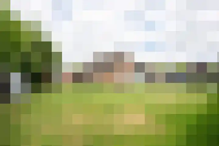 De Piepe 31 Klazienaveen thumbnail 28