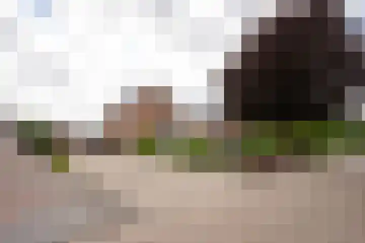 De Piepe 31 Klazienaveen thumbnail 36