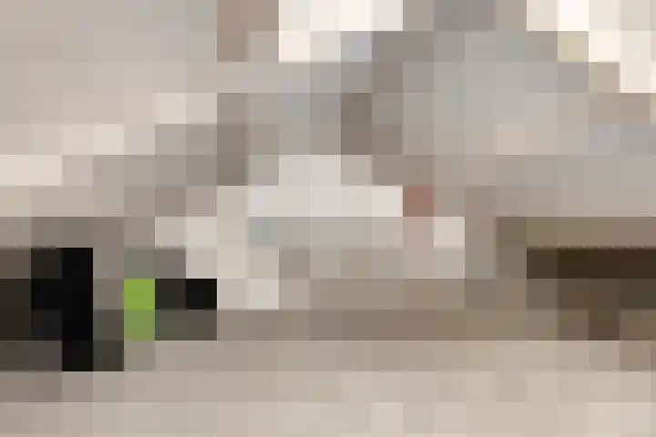 De Piepe 6 Klazienaveen thumbnail 17