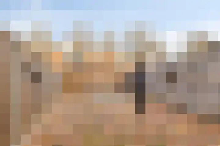 De Piepe 6 Klazienaveen thumbnail 20