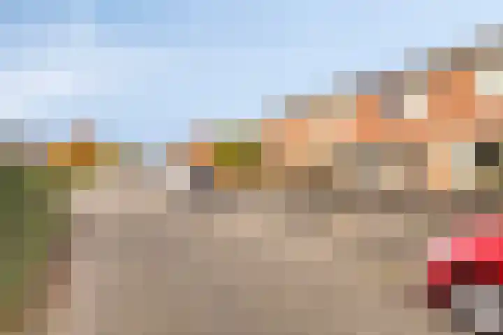 De Piepe 6 Klazienaveen thumbnail 22