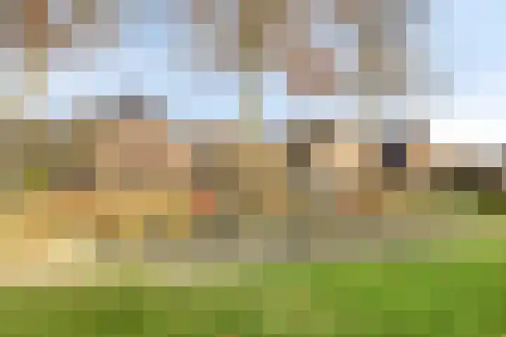De Piepe 6 Klazienaveen thumbnail 24