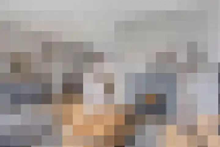 De Piepe 6 Klazienaveen foto 3