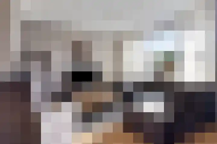 De Piepe 6 Klazienaveen thumbnail 4