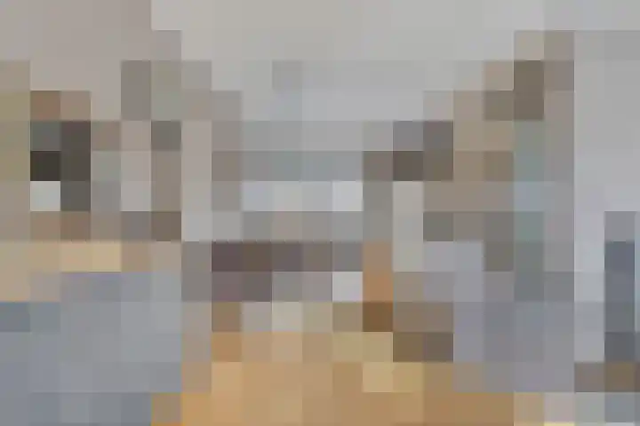 De Piepe 6 Klazienaveen thumbnail 6