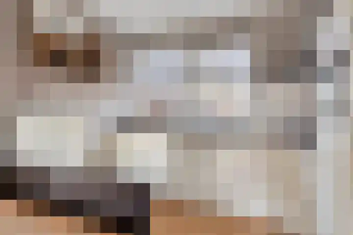 De Piepe 6 Klazienaveen thumbnail 7