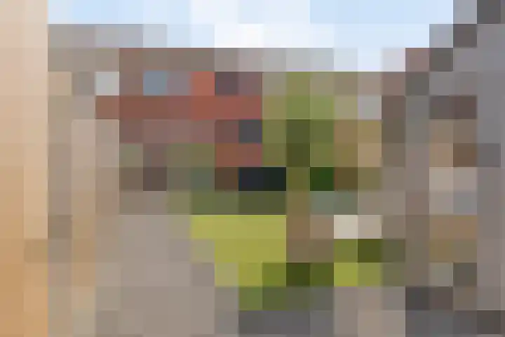 De Piepe 8 Klazienaveen thumbnail 18