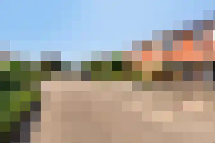 De Piepe 8 Klazienaveen thumbnail 19