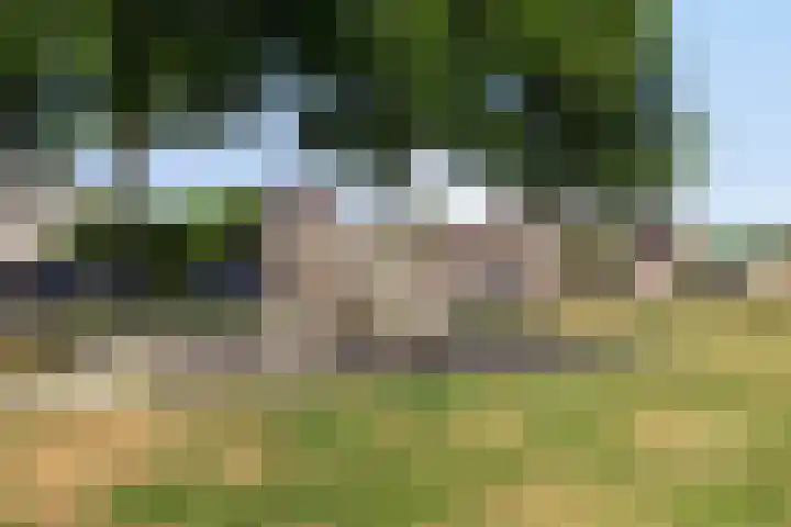 De Piepe 8 Klazienaveen thumbnail 20