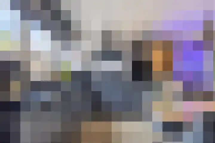 De Piepe 8 Klazienaveen thumbnail 5