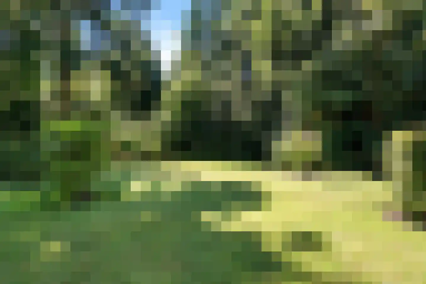 De Pieper 4 Nagele thumbnail 47