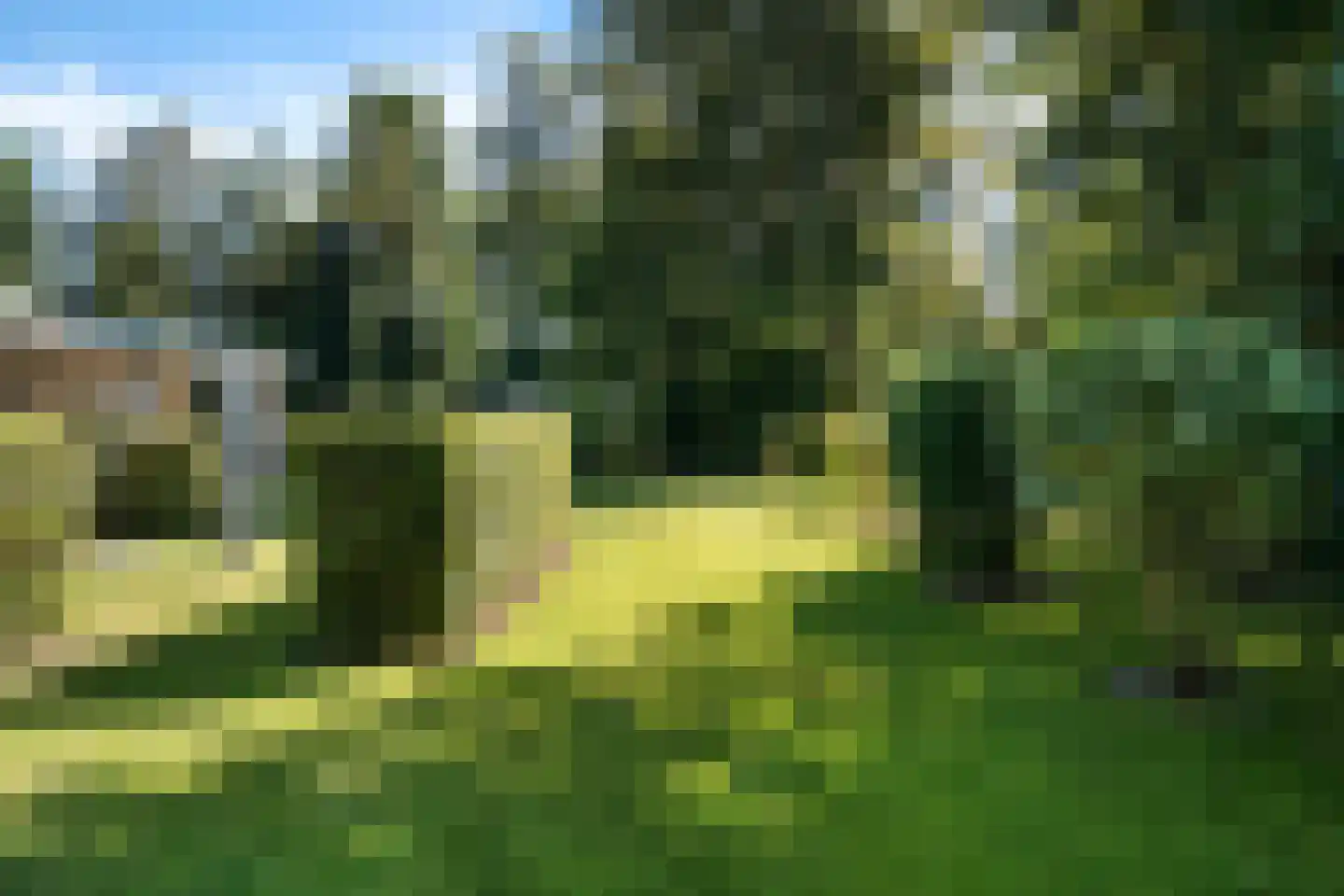De Pieper 4 Nagele thumbnail 48