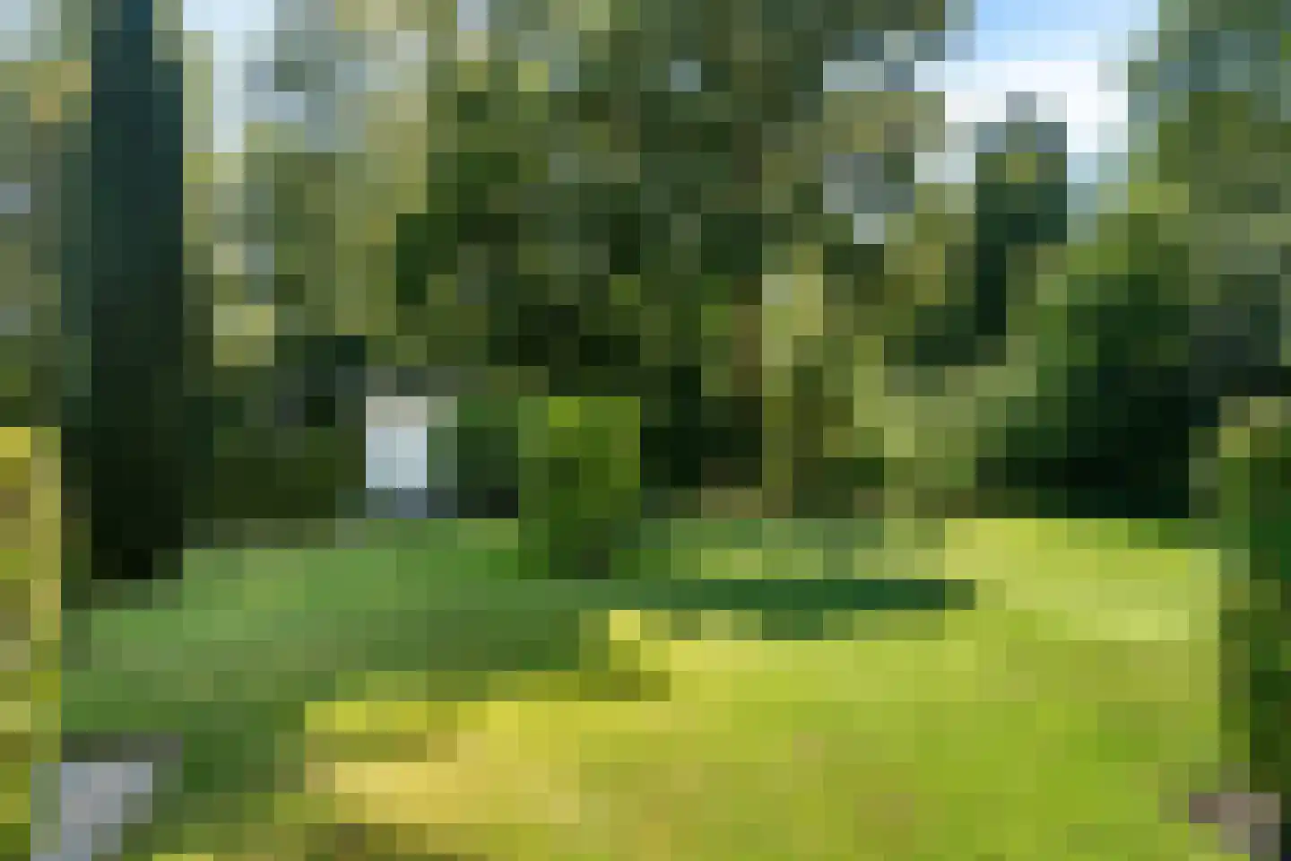 De Pieper 4 Nagele thumbnail 49