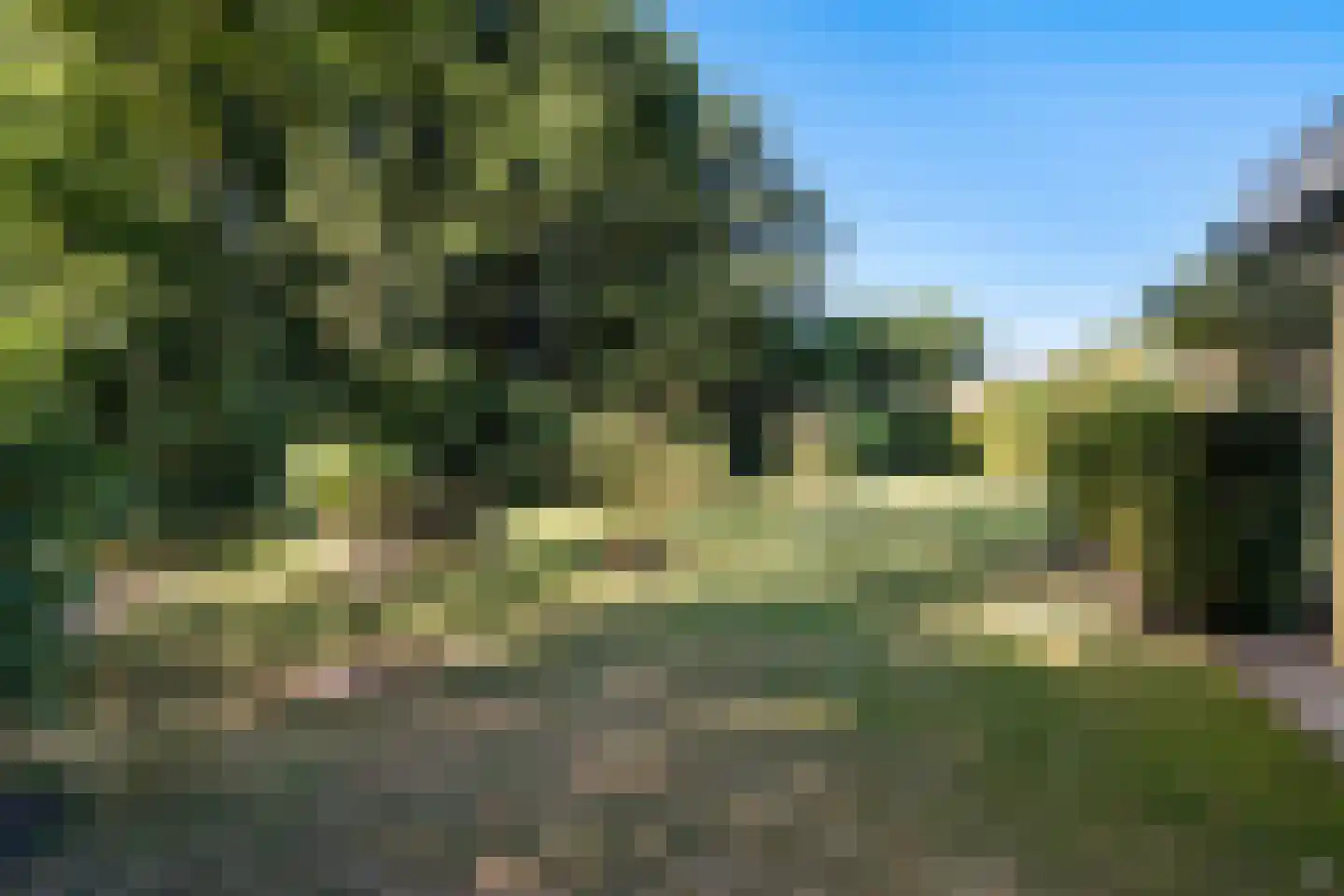 De Pieper 4 Nagele thumbnail 52