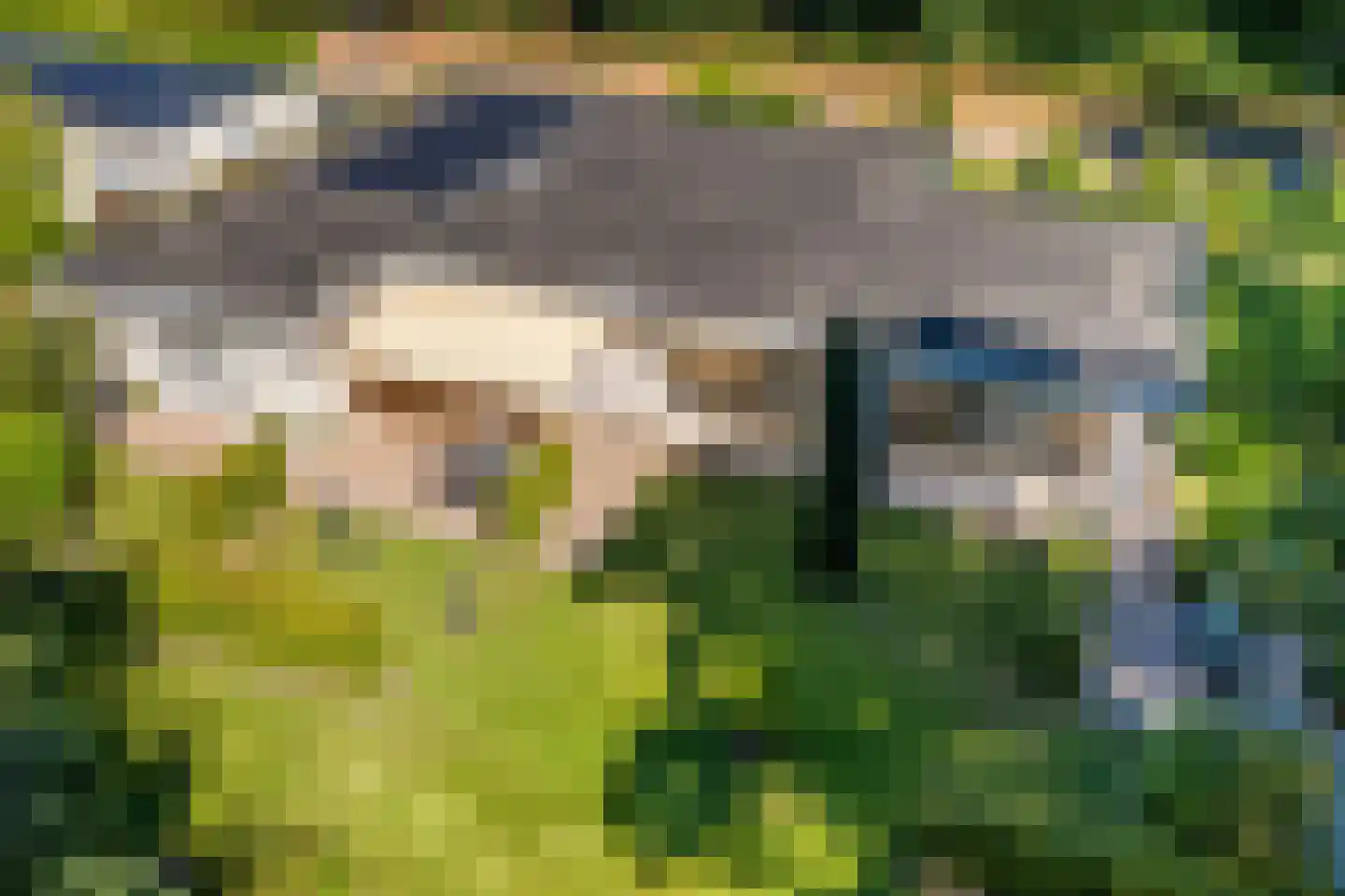 De Pieper 4 Nagele thumbnail 53