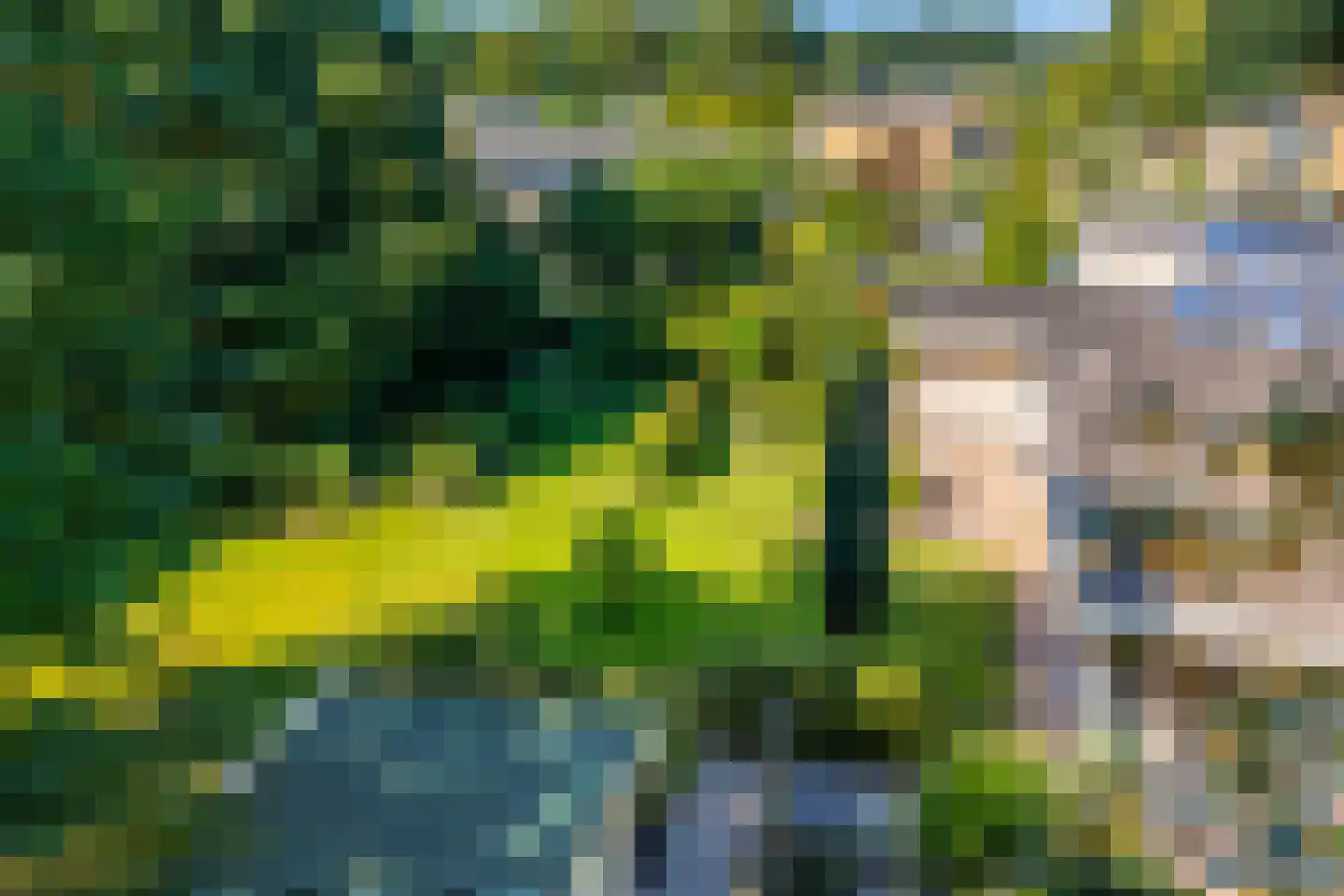 De Pieper 4 Nagele thumbnail 54