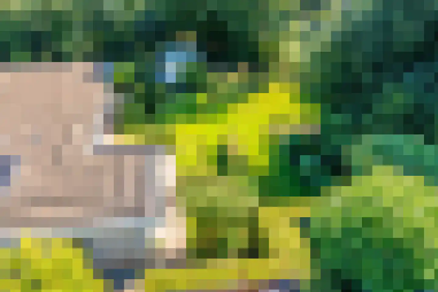 De Pieper 4 Nagele thumbnail 56