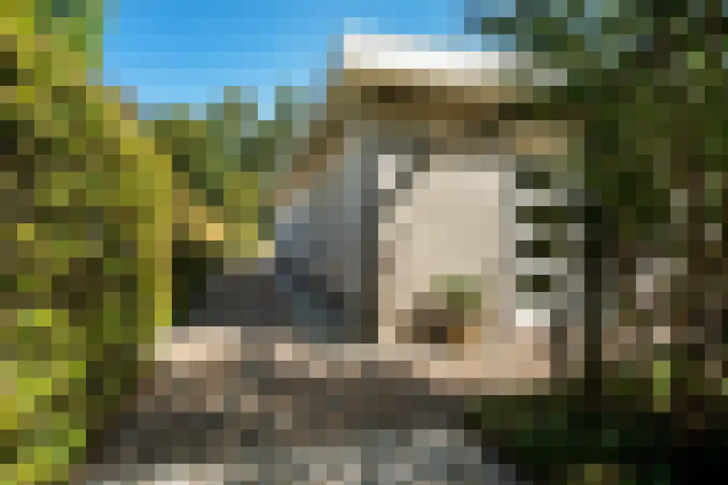 De Pieper 4 Nagele thumbnail 57