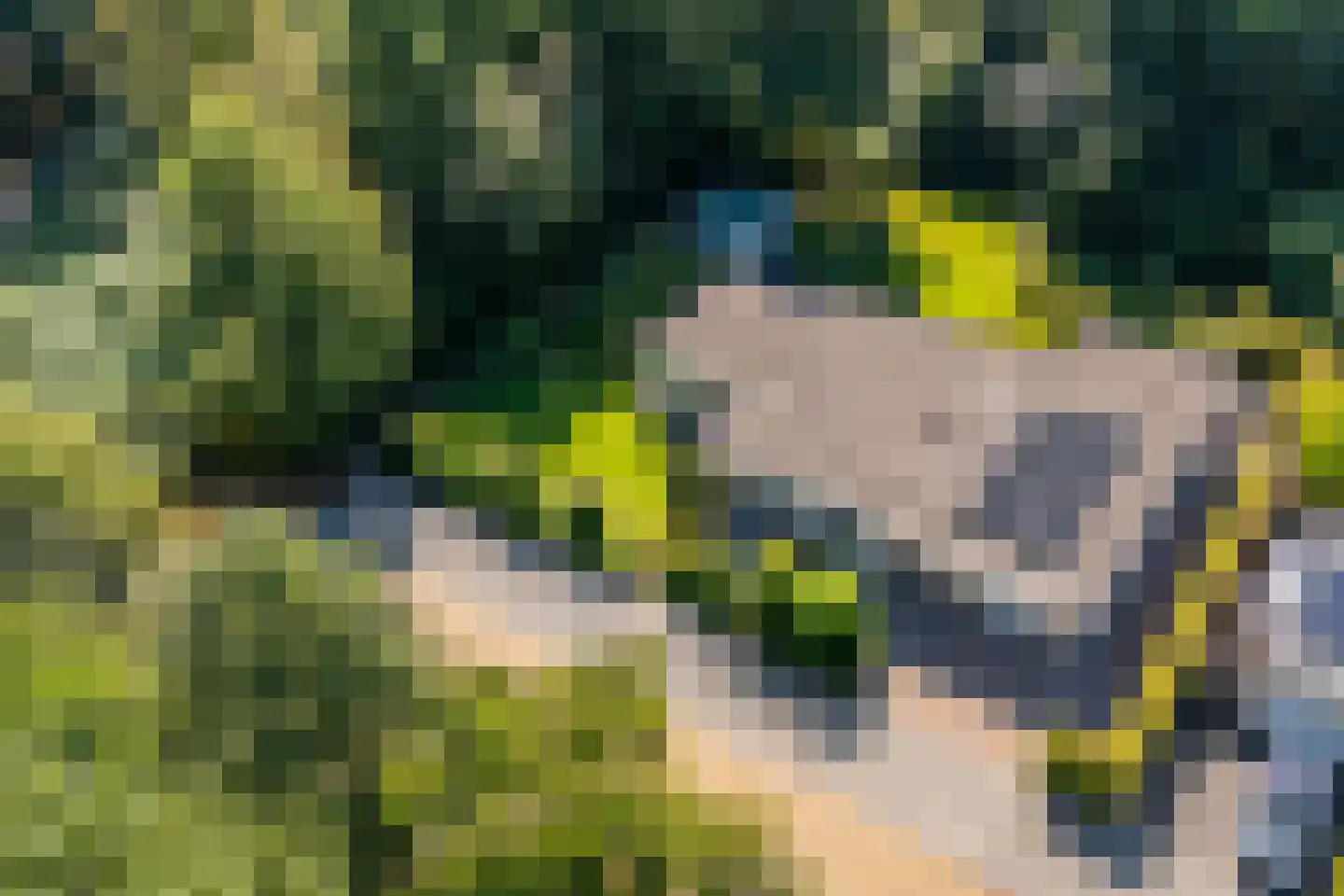 De Pieper 4 Nagele thumbnail 62