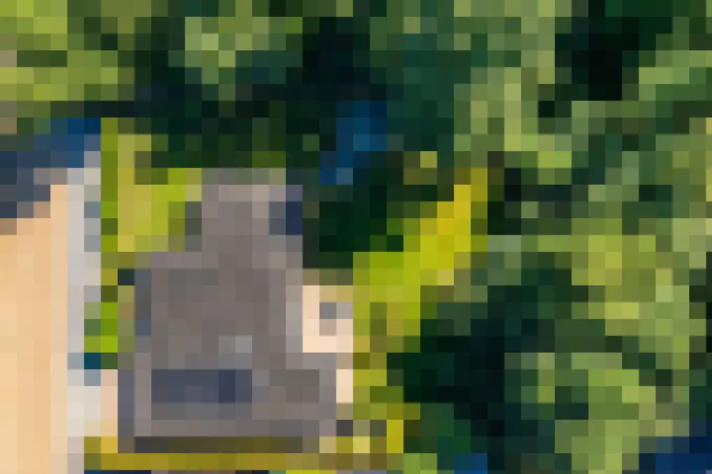 De Pieper 4 Nagele thumbnail 63