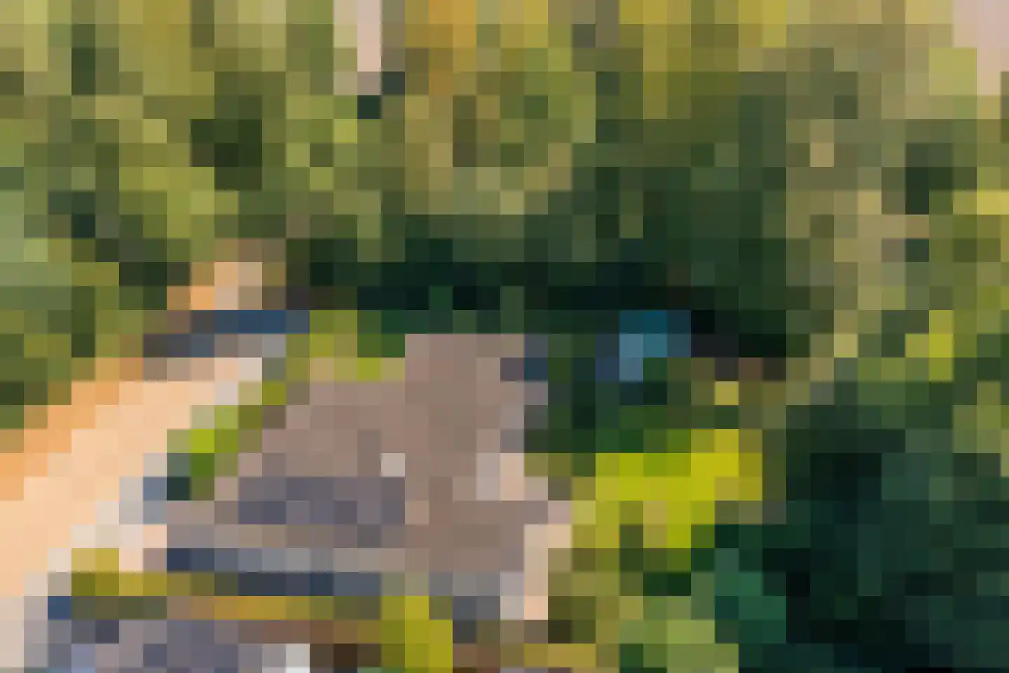 De Pieper 4 Nagele thumbnail 64