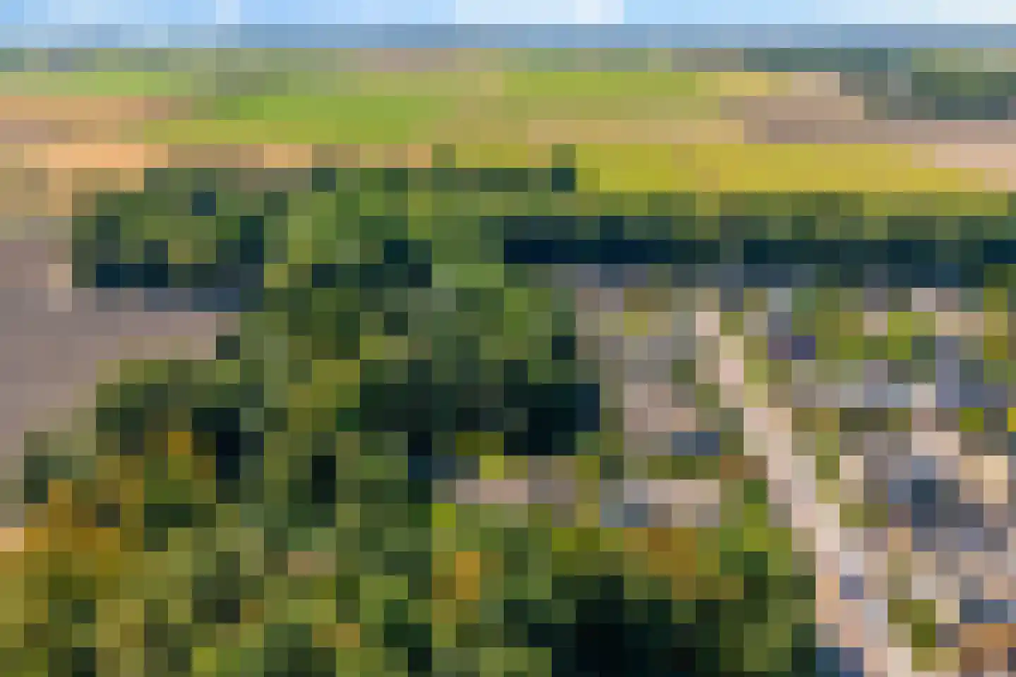 De Pieper 4 Nagele thumbnail 65