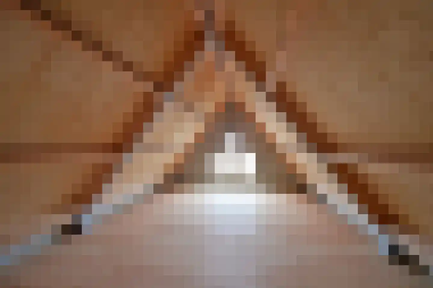 De Pier 12 Huizen thumbnail 9