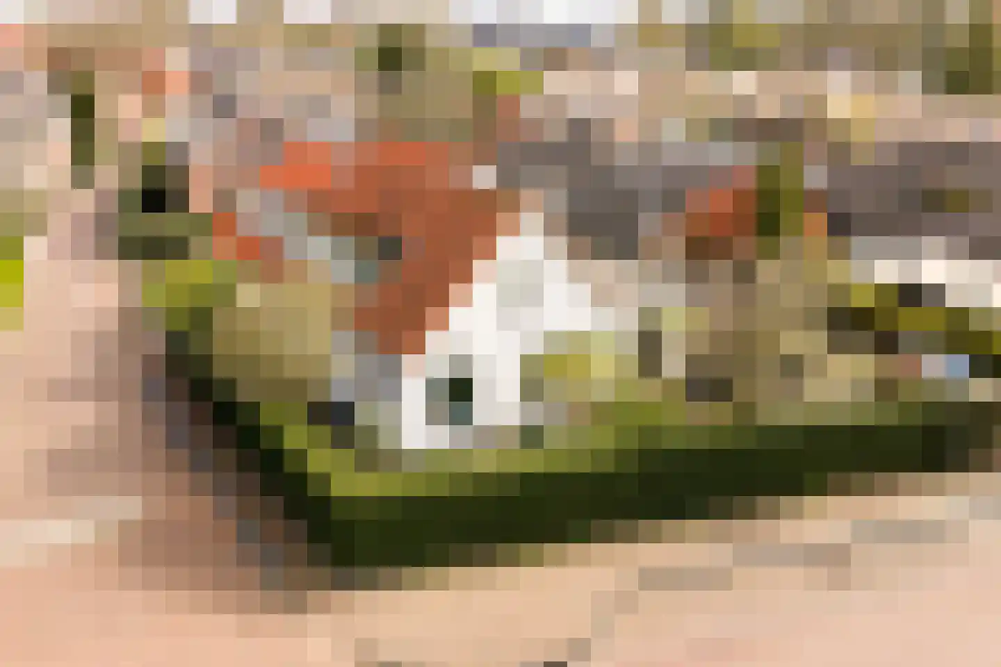 De Pijl 2 en Laren