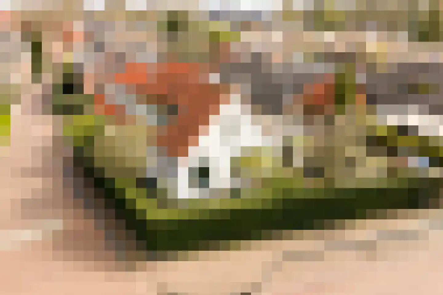 De Pijl 2 Laren