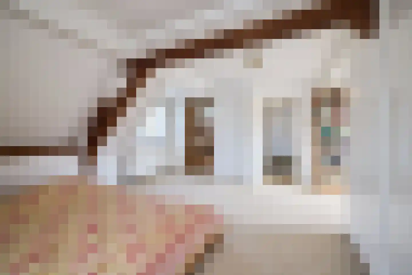 De Pijl 2 Laren thumbnail 15