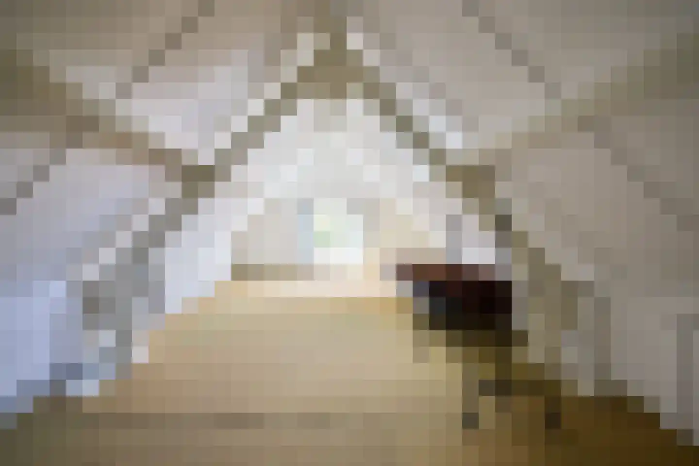 De Pijl 2 Laren thumbnail 20