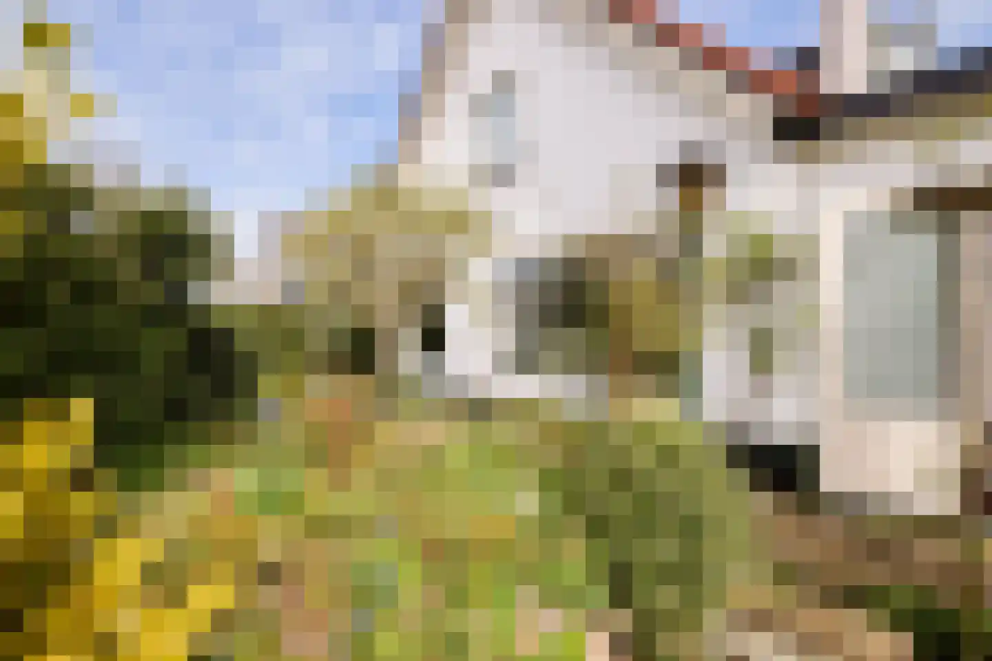 De Pijl 2 Laren thumbnail 23