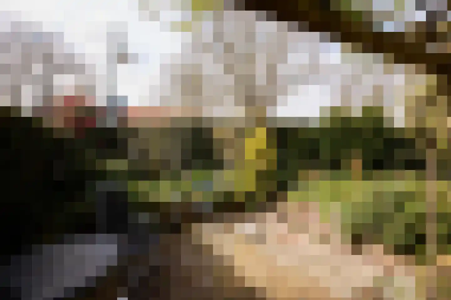De Pijl 2 Laren thumbnail 25