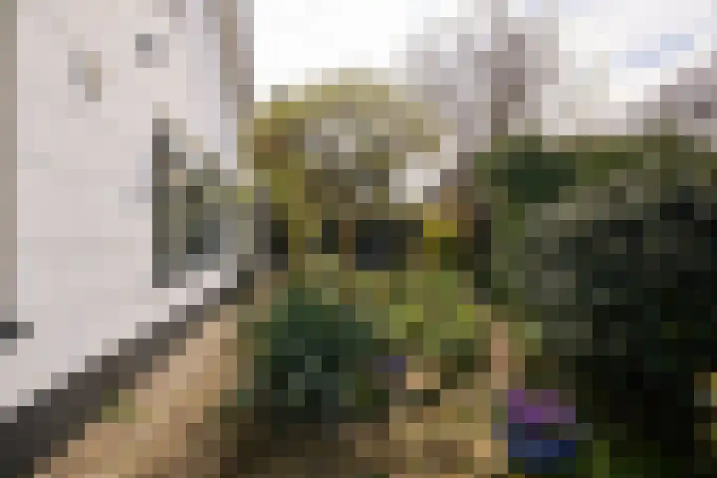 De Pijl 2 Laren thumbnail 26