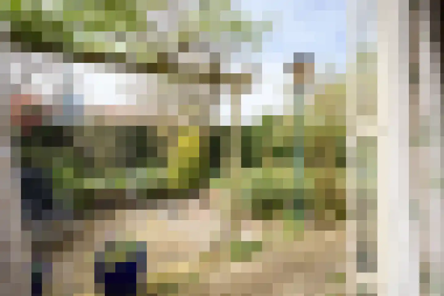 De Pijl 2 Laren thumbnail 27