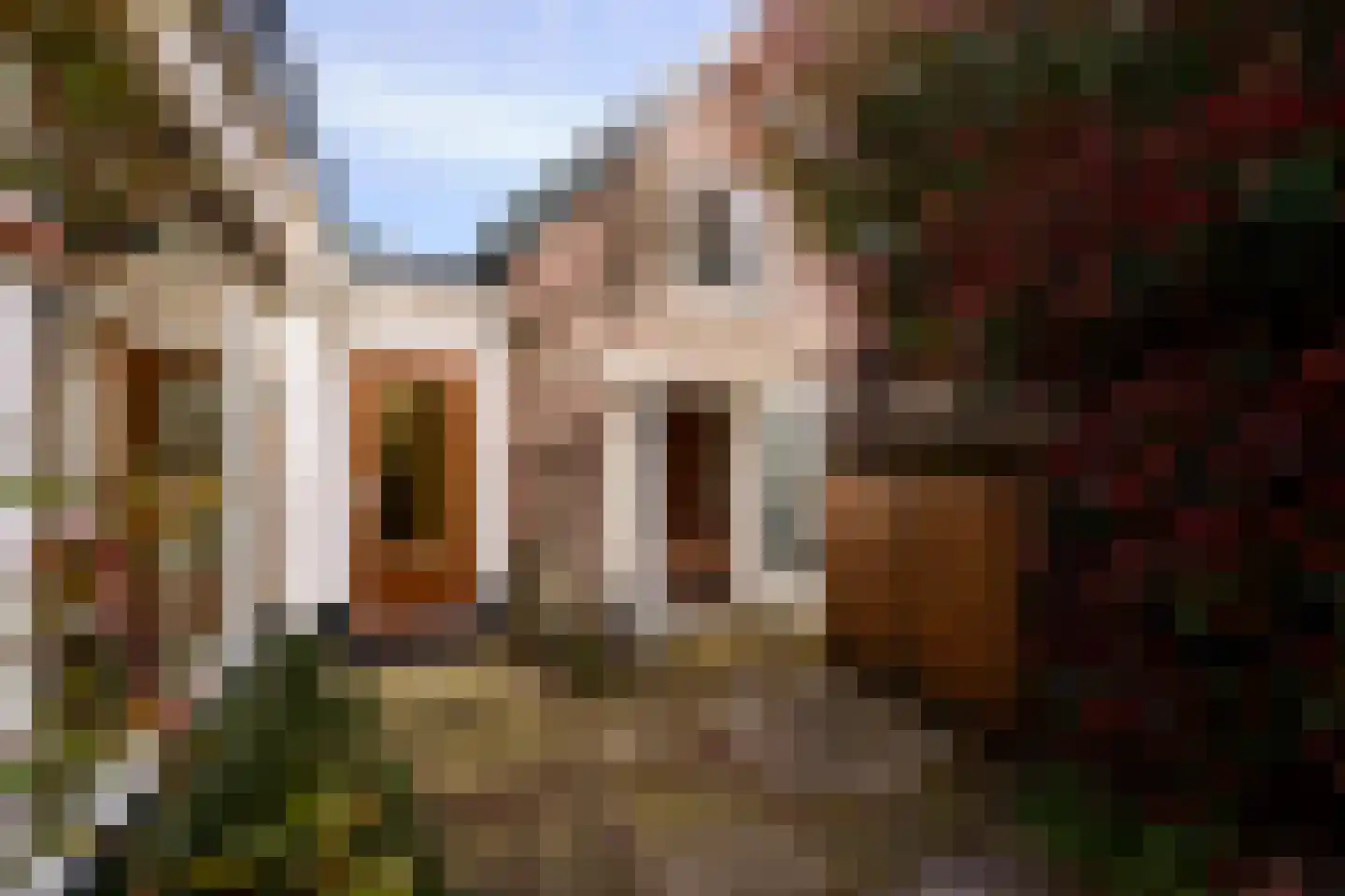 De Pijl 2 Laren thumbnail 29